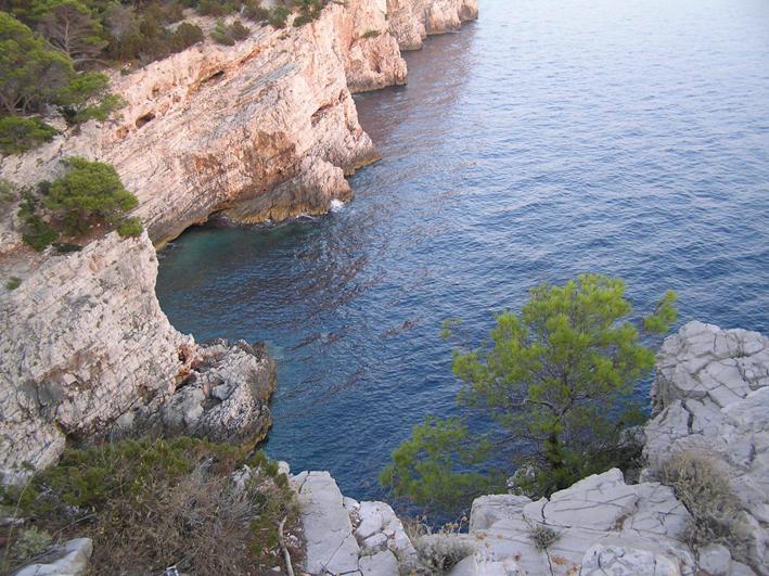 Telascica